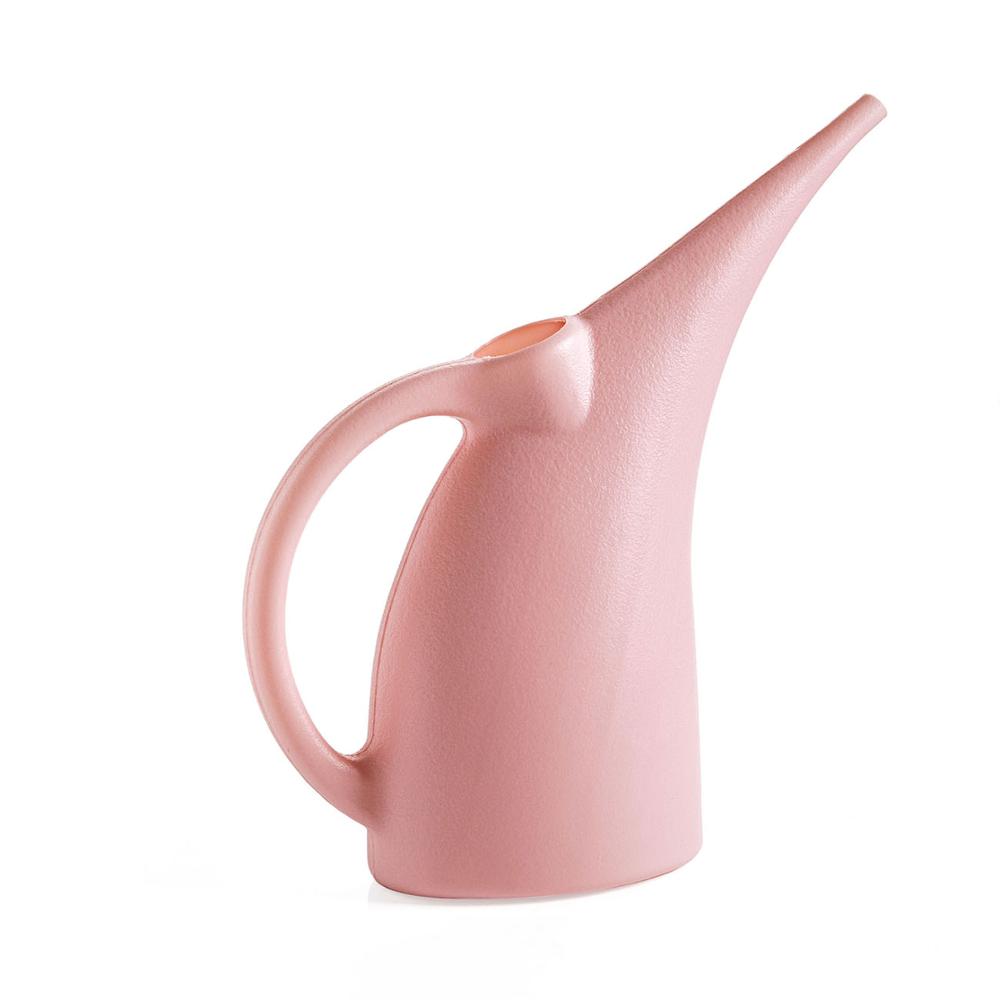 Precision Long-Spout Watering Can for Indoor Plants