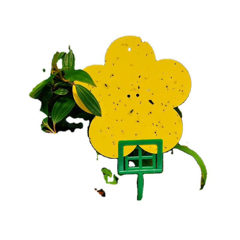 Sticky Pest Monitoring Cards