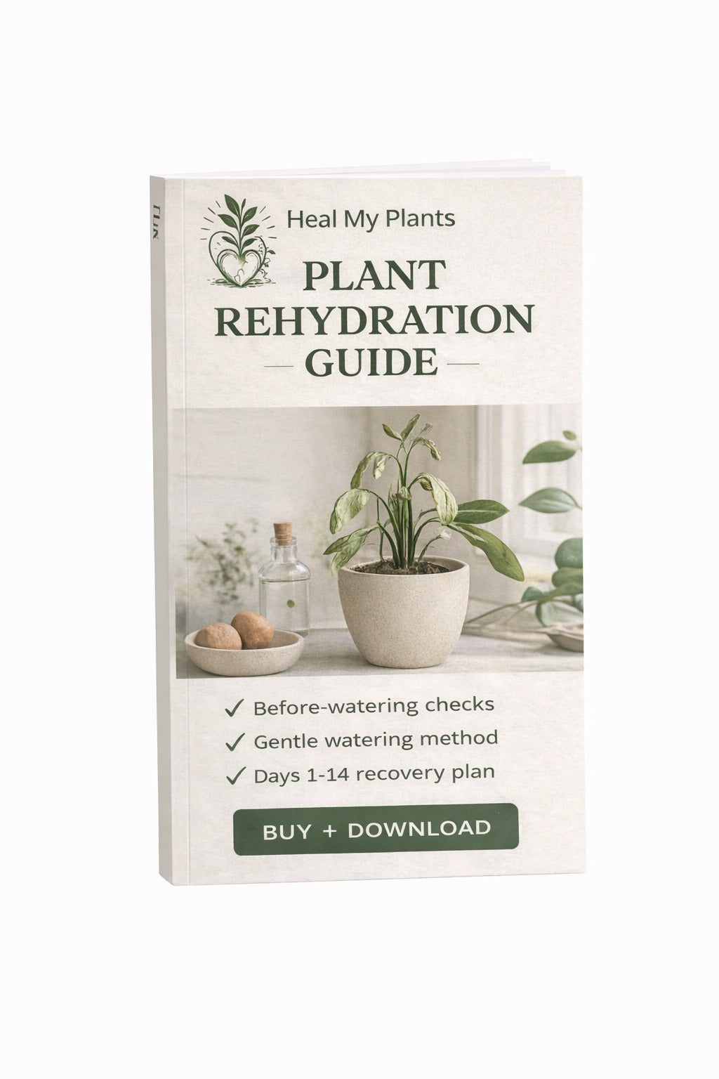 Plant Rehydration Guide