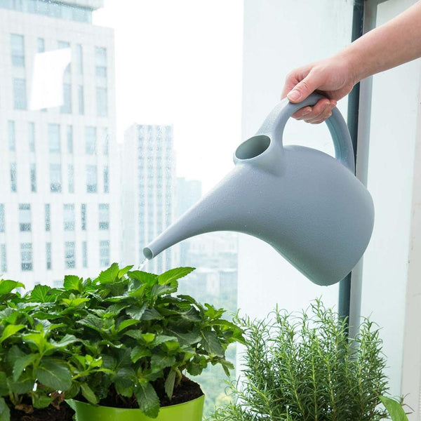 Precision Long-Spout Watering Can for Indoor Plants