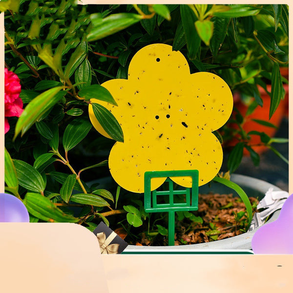 Sticky Pest Monitoring Cards